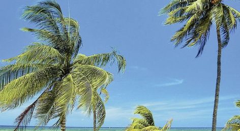 Hotel Playa Pesquero AI