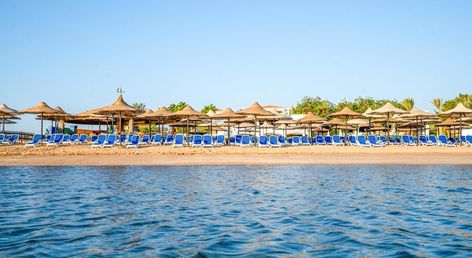 Ivy Cyrene Sharm Resort