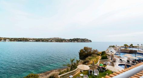 Sentido Fido Punta del Mar