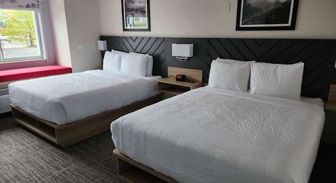 Best Western Buffalo Inn & Suites