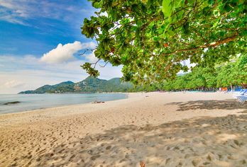 Hotel, First Bungalow Beach Resort