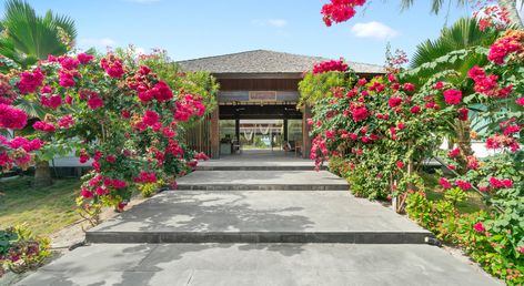 The Barefoot Eco Hotel