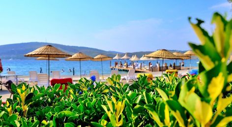 Oscar Seaside Hotel & Spa