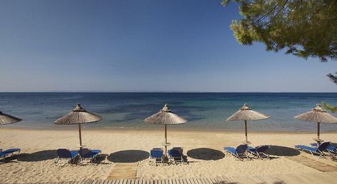 Blue Dolphin Hotel