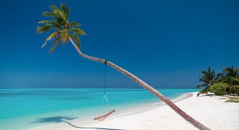 Meeru Maldives Resort Island