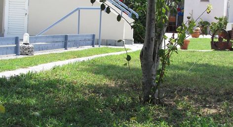 Sevi Apartments