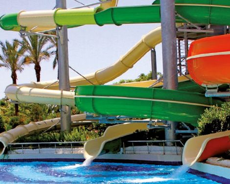 Delphin Diva-1