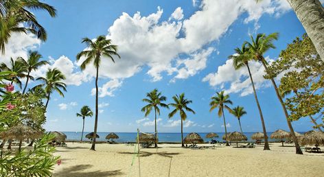 Viva Dominicus Beach by Wyndham, A Trademark All Inclusive