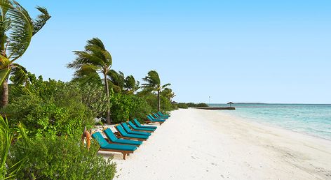 Canareef Resort Maldives