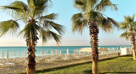 Sentido Marea