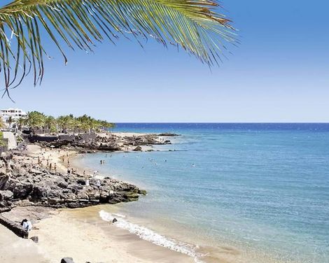 allsun App.-Hotel Albatros-1