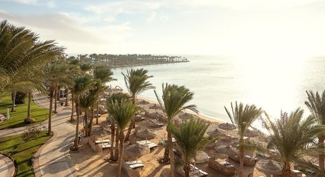 Palm Royale Resort - Soma Bay