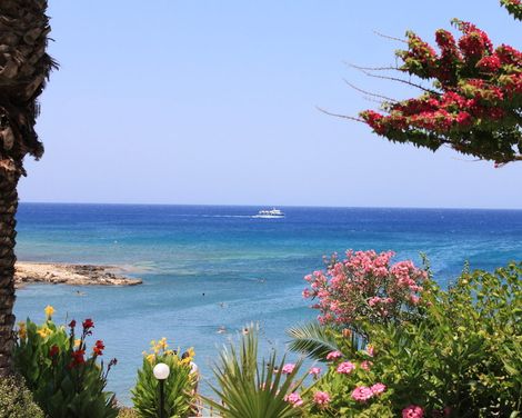 Crystal Springs Beach Hotel-2