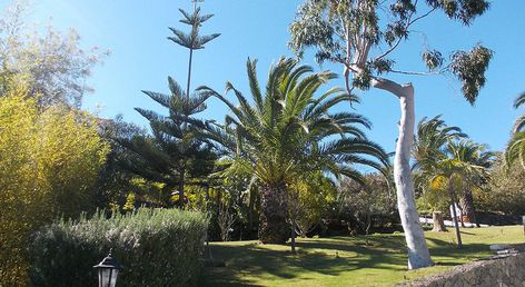 La Palma Romantica