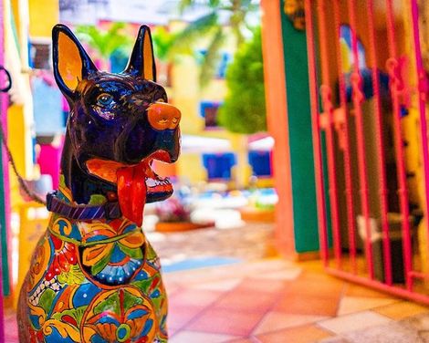 Hacienda Maria Bonita-0