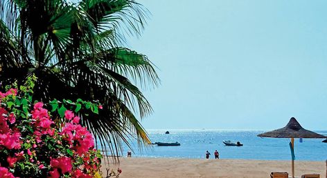 Brayka Bay Resort