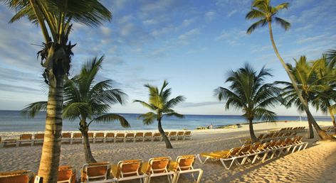 Viva Dominicus Palace by Wyndham, A Trademark All Inclusive