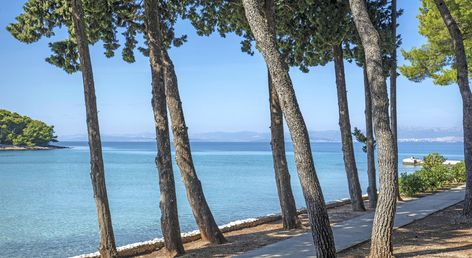 Aminess Vival Velaris Resort
