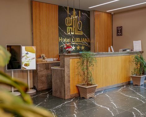 Hotel Lubjana-3