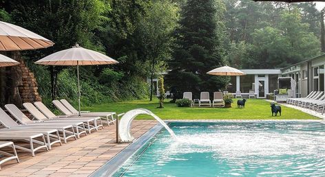 Waldhotel Tannenhäuschen