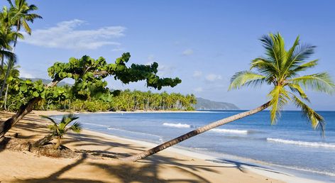 Viva V Samana by Wyndham, A Trademark Adults All Inclusive