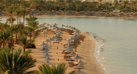 Royal Brayka Resort