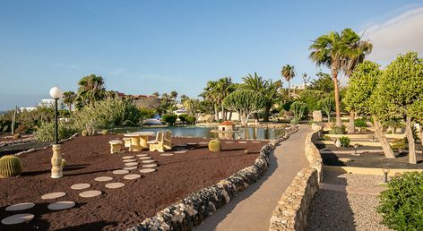 LIVVO Risco del Gato Suites