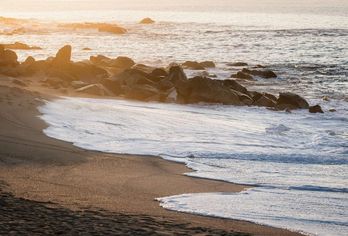 Hilton los Cabos Beach & Golf Resort