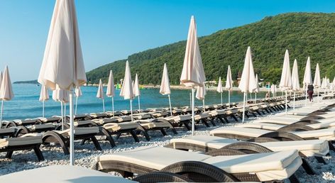 Hedera Hotel