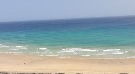Marina Playa Suites