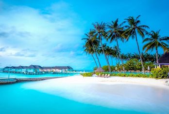Hotel, Machchafushi Island Resort & Spa Maldives, The Centara Collection