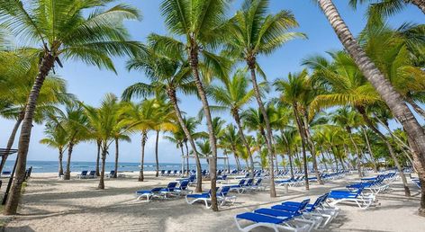 Coral Costa Caribe Beach Resort