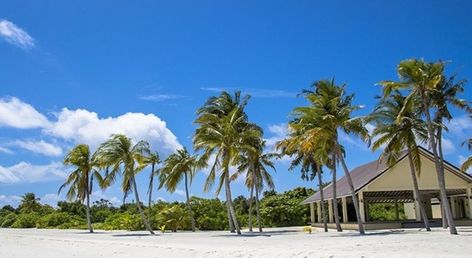 Hondaafushi Island Resort