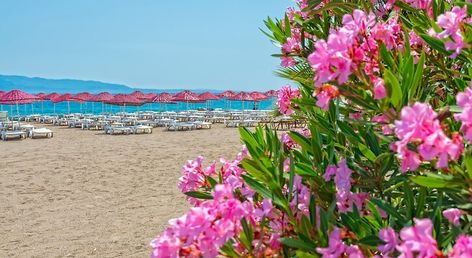 Bendis Beach Hotel