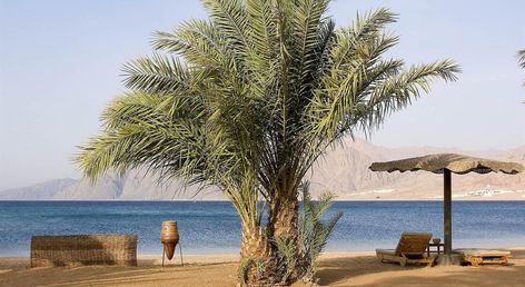 Dahab Lagoon Club & Resort