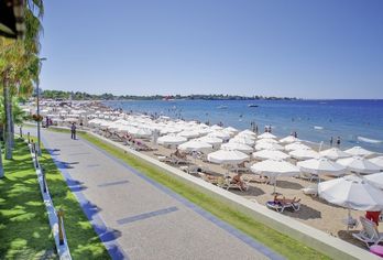 Acanthus Cennet Barut Collection