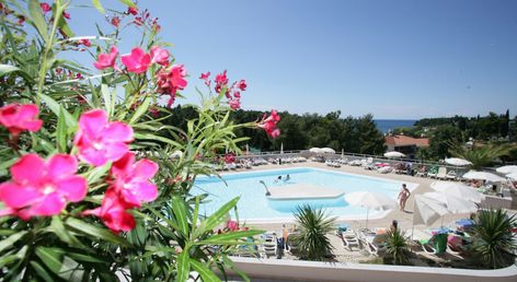 Hotel Albatros Plava Laguna