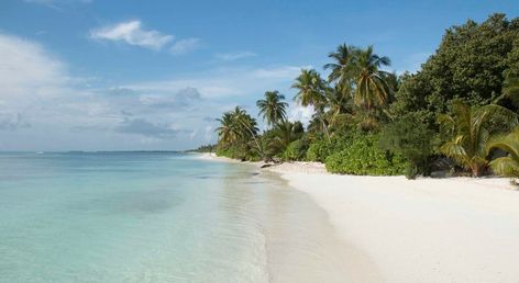 Canareef Resort Maldives