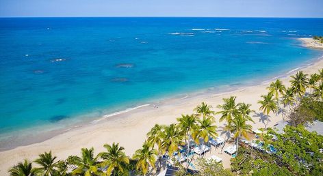 Emotions by Hodelpa Puerto Plata