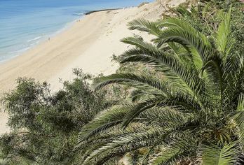 allsun App.-Hotel Esquinzo Beach