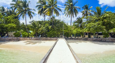 Equator Village